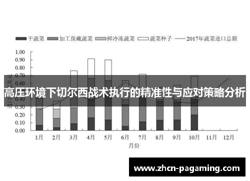 高压环境下切尔西战术执行的精准性与应对策略分析 高压环境下切尔西战术执行的精准性与应对策略分析