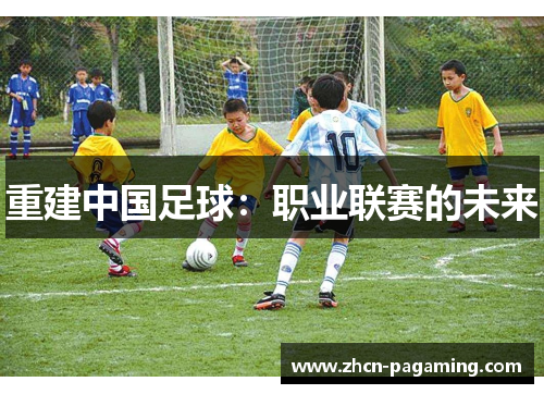 重建中国足球：职业联赛的未来