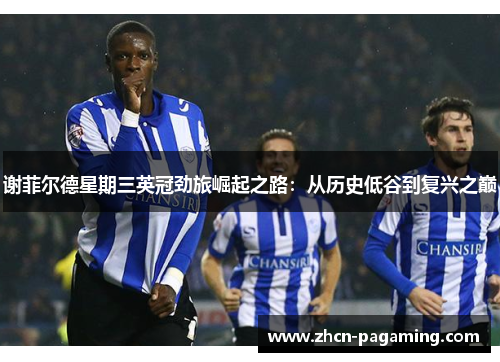 谢菲尔德星期三英冠劲旅崛起之路：从历史低谷到复兴之巅